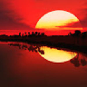 Meet your Posher, Rabia